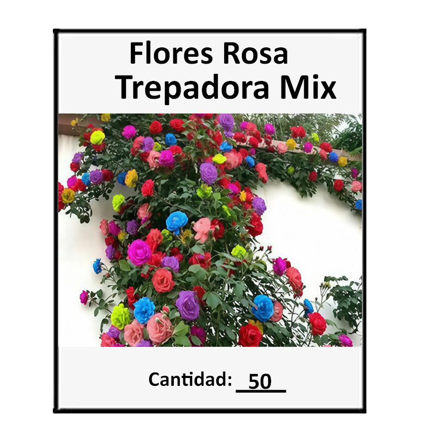 Vista 6 de 50 Semillas De Flor Rosa Trepadora - Color: Mix